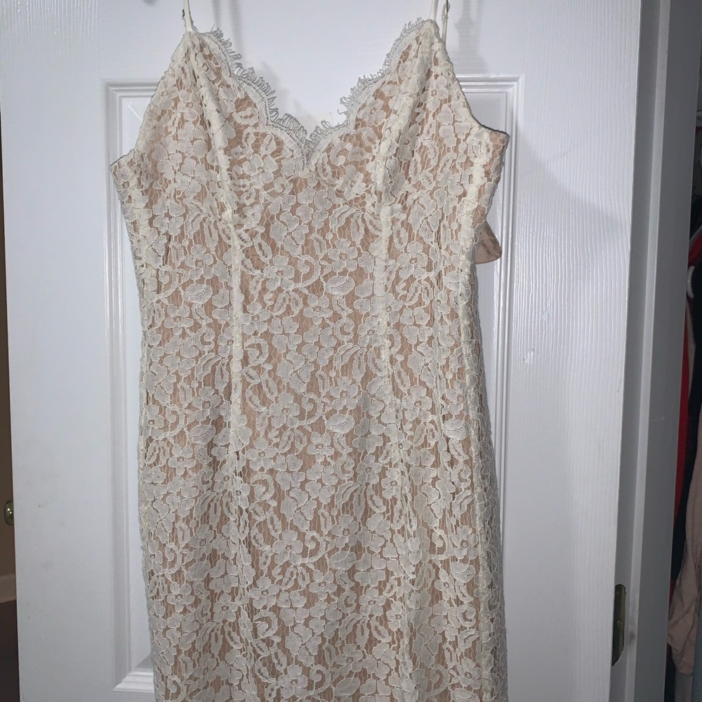 Bardot White lace cocktail dress